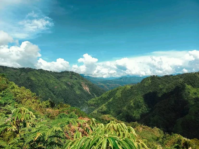 Baiyer Valley Landscape